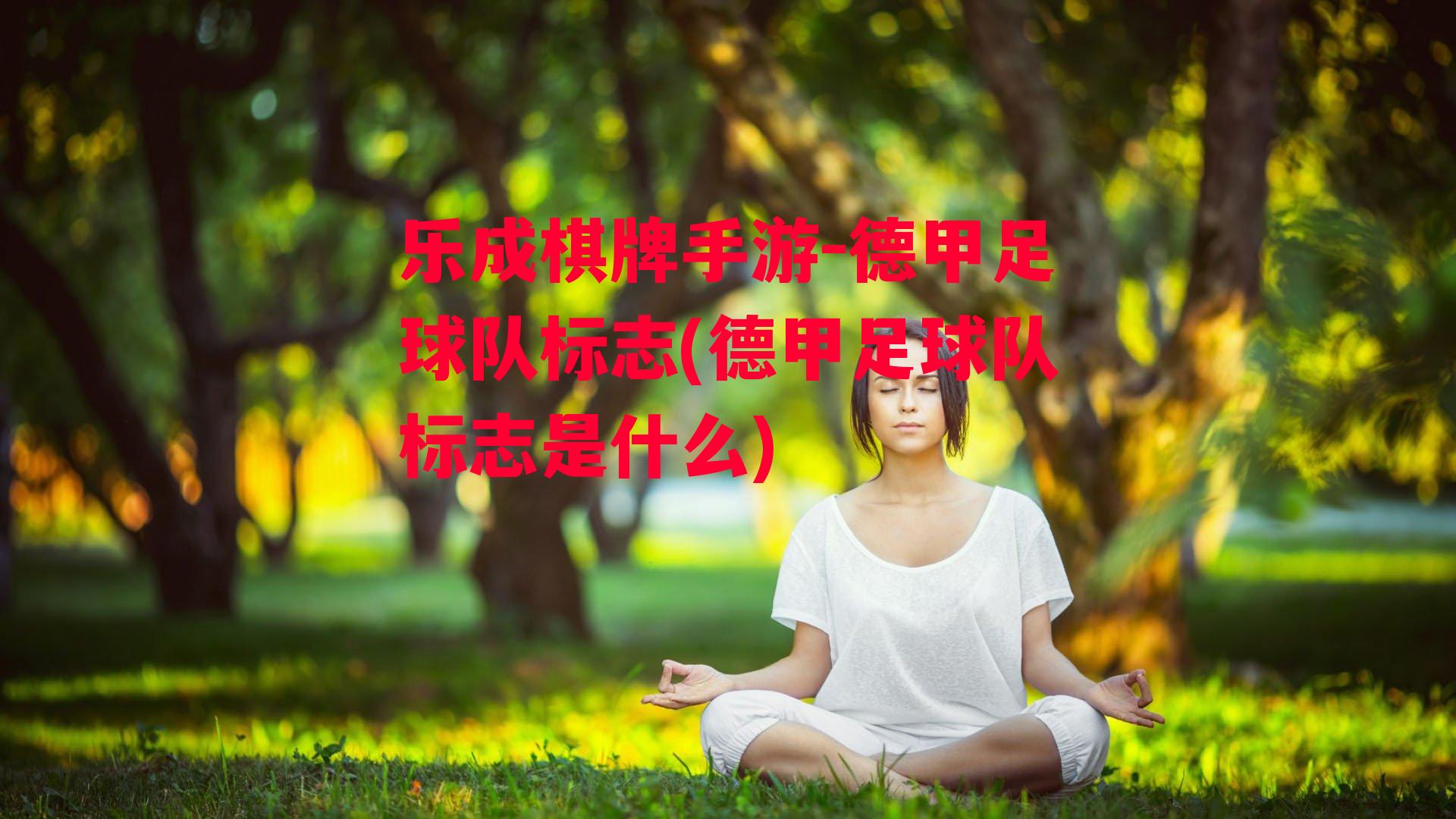 德甲足球队标志(德甲足球队标志是什么)